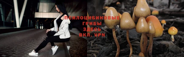 мяу мяу мука Абинск
