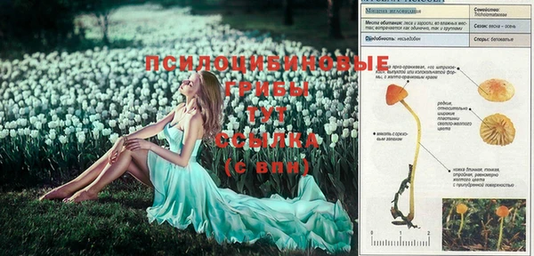 мяу мяу мука Абинск